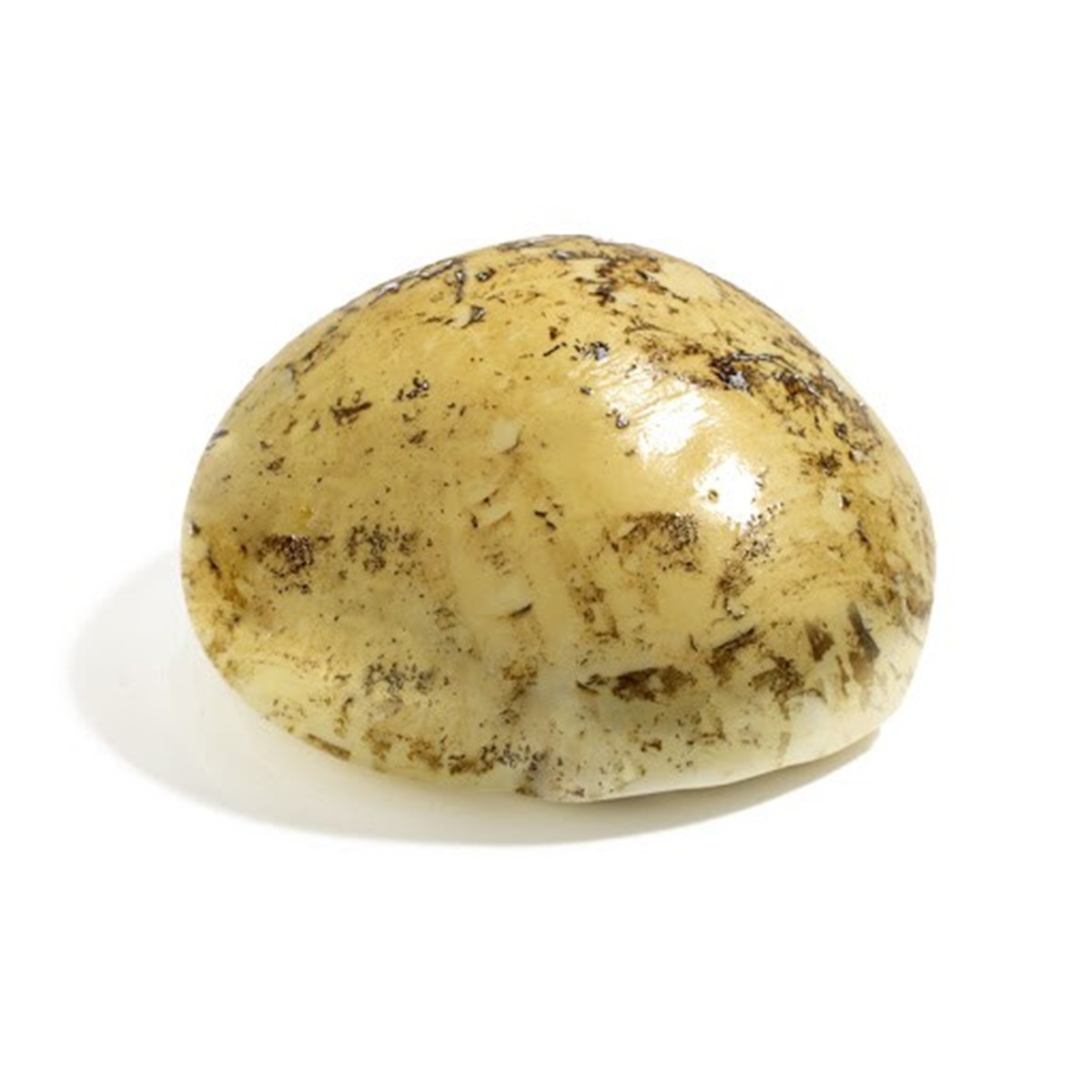 Mozzarella di Bufala